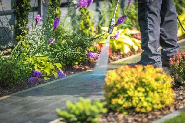 Best Patio and Deck Pressure Washing  in Algonquin, MD